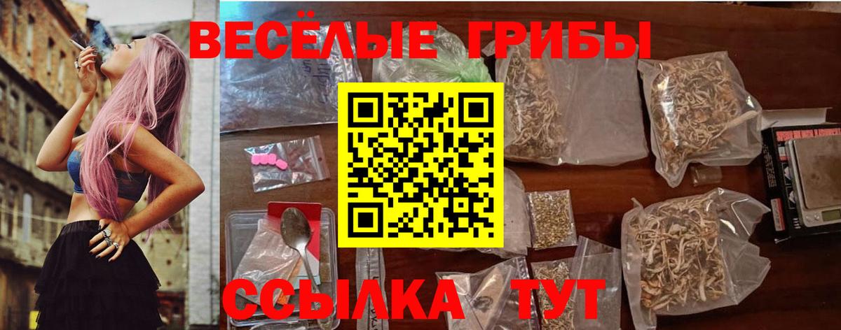 Галлюциногенные грибы Cubensis Тулун