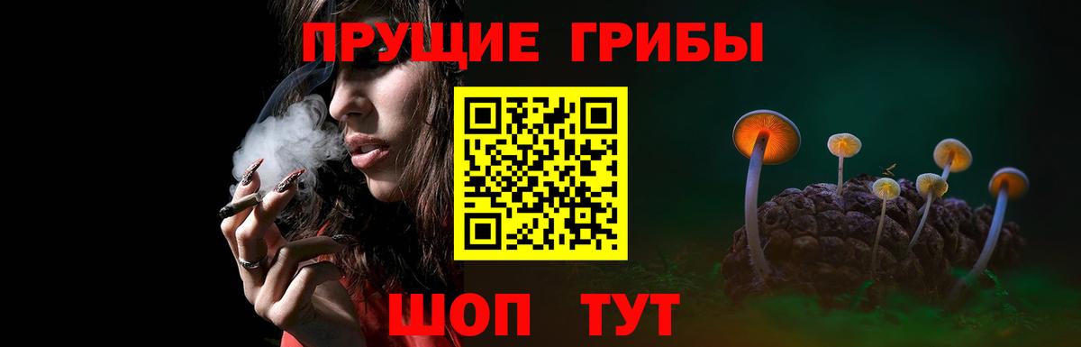 Псилоцибиновые грибы Cubensis  Вход с VPN  Тулун 